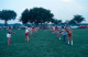 scan7697