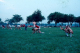 scan7730