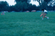 scan7737