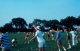 scan0598