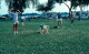 scan0602