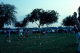 scan0605