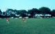 scan0617