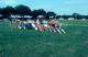 scan0624
