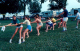 scan0636