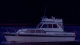 scan0376-2