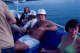 scan0445-2