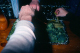 scan4547