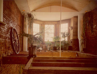 upstairs_plants