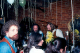 scan8292