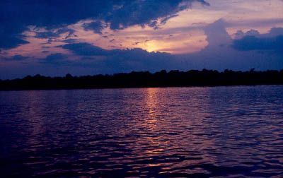 scan0335-2