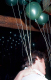 scan2842