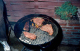 scan3592